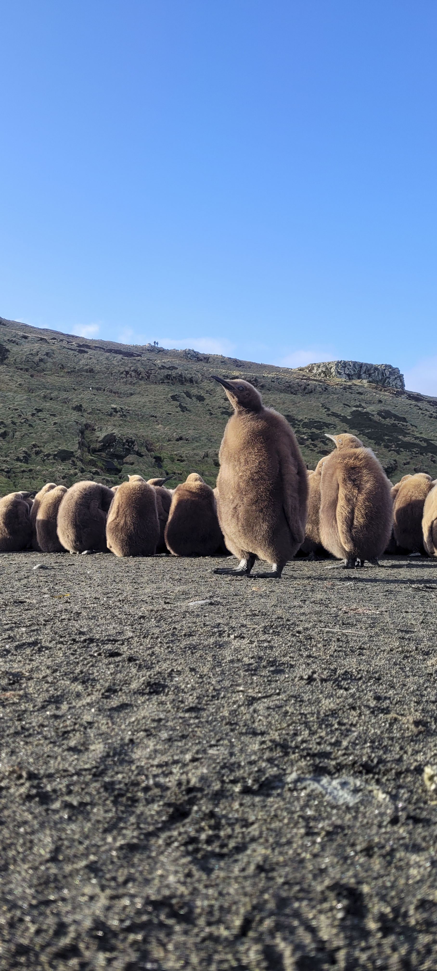 GYT 20220701 145856 20220701 145856